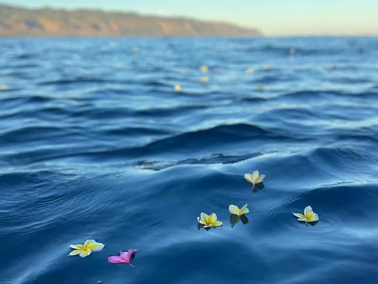 Ceremonial flowers floating on calm blue water off Honolulu during an ash scattering charter.